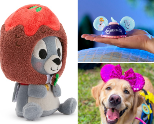 Diehard Disney Fan Faves all year round cover photo collage