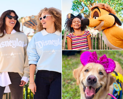 Diehard Disney Fan Faves all year round cover photo collage