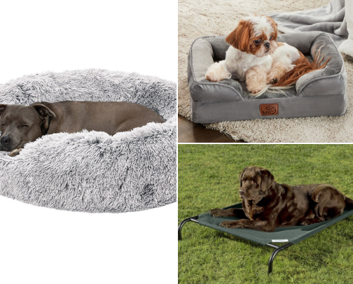 Paw-some Dog Gear & Goodies I Can’t Resist cover photo collage