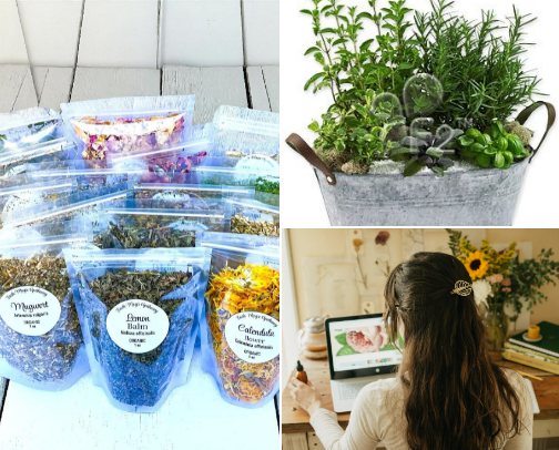 Herbal Remedies & Apothecary cover photo collage