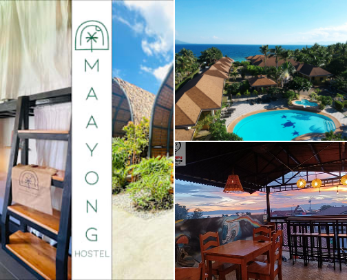 The Best Hostel in Moalboal cover photo collage
