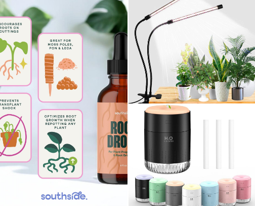 Plant mom 🌱 ☀️ cover photo collage