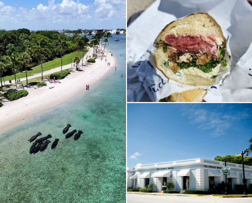 A weekend in West Palm Beach 🌴 ✨ cover photo collage