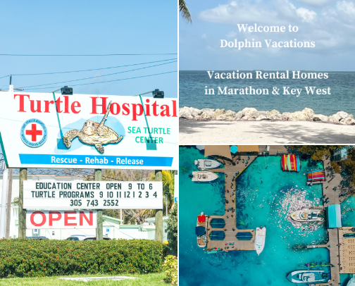 Florida Keys cover photo collage