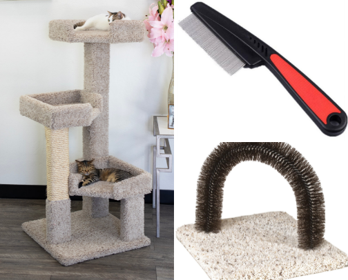 Cat things Duhh 🐈‍⬛😻 cover photo collage