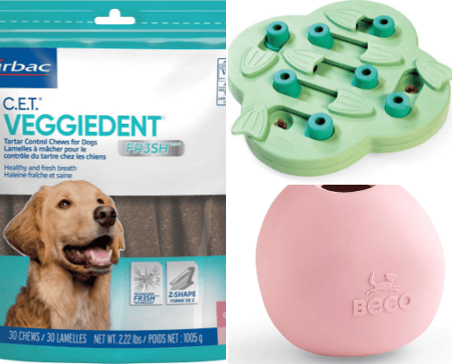 My Go-To Dog Products cover photo collage