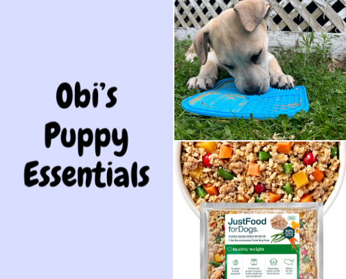 Obi's Puppy Essentials & Doggy Necessities! 🐶🐾 cover photo collage