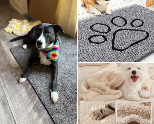 🐾 Everyday Essentials for Your Dog cover photo collage