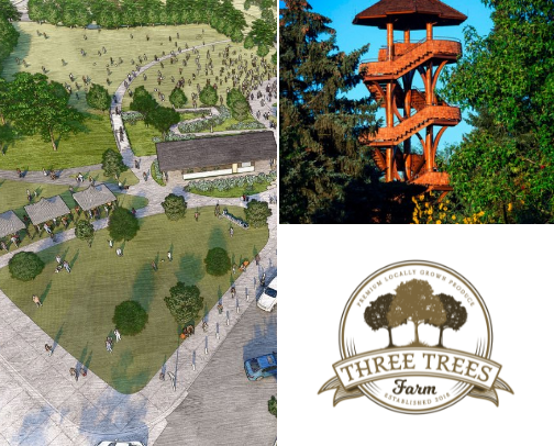 My new list cover photo collage