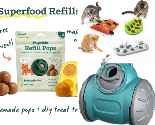 Sit, Stay, Shop: Must-Have Products for Your New Pup! cover photo collage