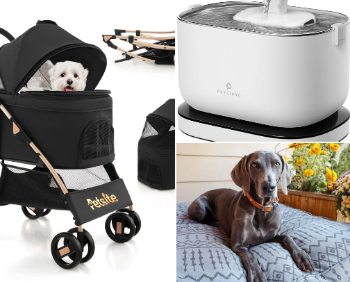 Tail-wagging treasures cover photo collage