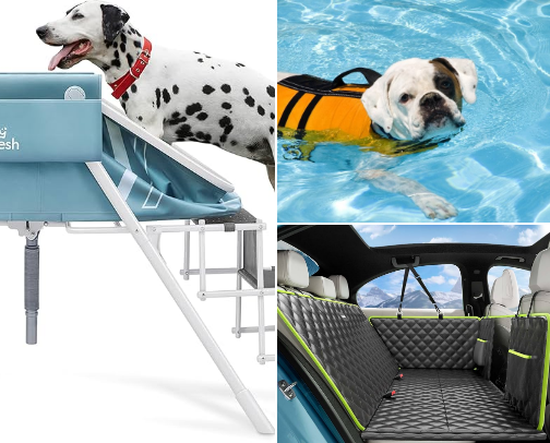 Tail-wagging treasures cover photo collage