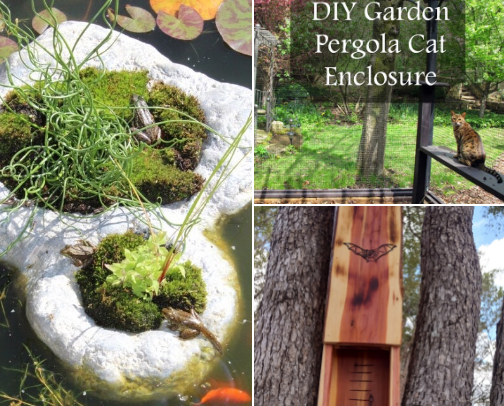 Safe Ground: A Supply List for Animal Visitors and Wild Friends cover photo collage