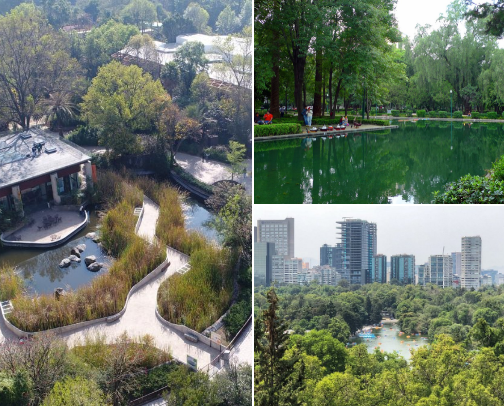 Mexico City 📍 cover photo collage