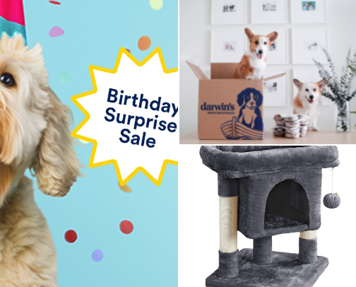Pet Must Haves cover photo collage