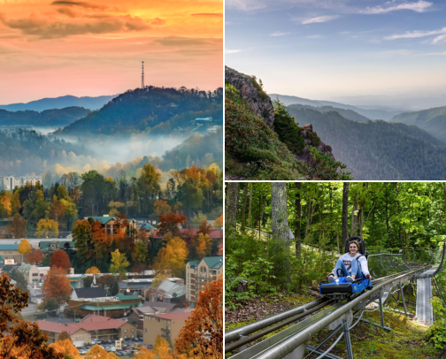 I Dream of Tennessee💚 List of things to do when I finally make the big move. cover photo collage