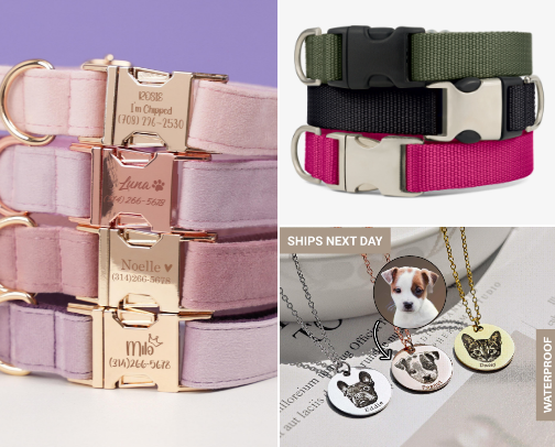 Cool Finds Must Have For Dog and Cat Accessories cover photo collage