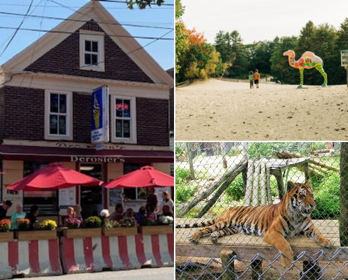 Maine things to do! cover photo collage