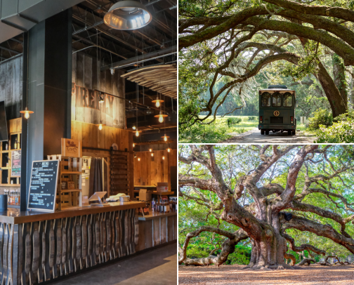 🌴 Best Things to Do in Charleston, SC | A Local's Guide cover photo collage