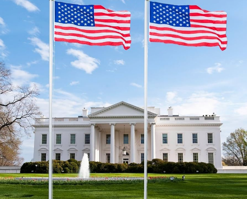 🇺🇸 Flags & Patriotic Favorites cover photo collage