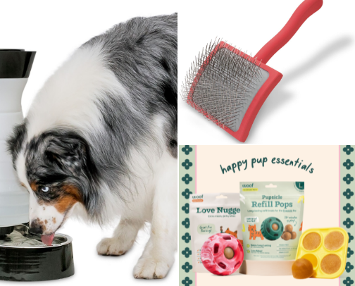 Things my Dog Asks for Everyday cover photo collage