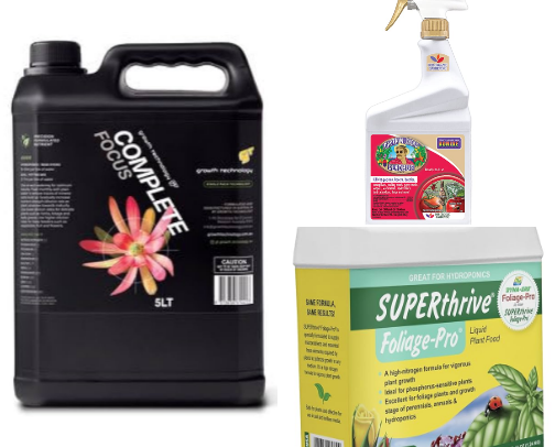 Planty Life cover photo collage