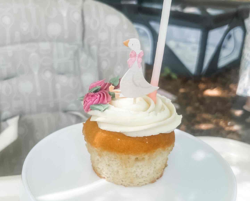 ONE Silly Goose Birthday Party 🪿 🎉 cover photo collage