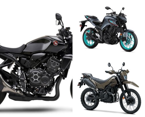 Born to Ride. Built to Rule 🏍️ cover photo collage