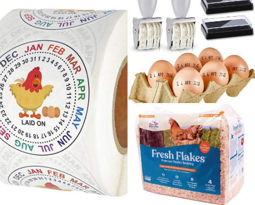 Chicken things cover photo collage