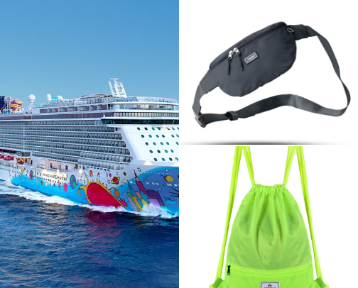Travel/Cruise Ship Essentials cover photo collage