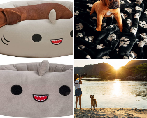 Everyday Essentials cover photo collage