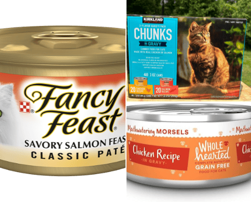 Cat food essentials for a broke college student 🧑‍🎓 🐱 cover photo collage