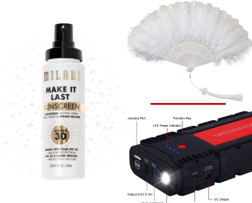 All Day South Florida Festival/Outdoor Event Survival Guide cover photo collage