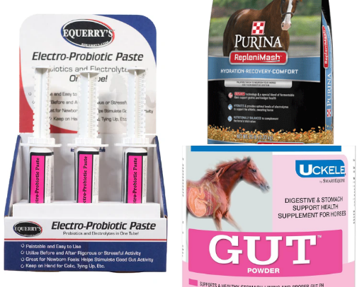 Horse Travel Necessities cover photo collage