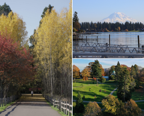 Girlmoss! Clear Your Head Outside! cover photo collage