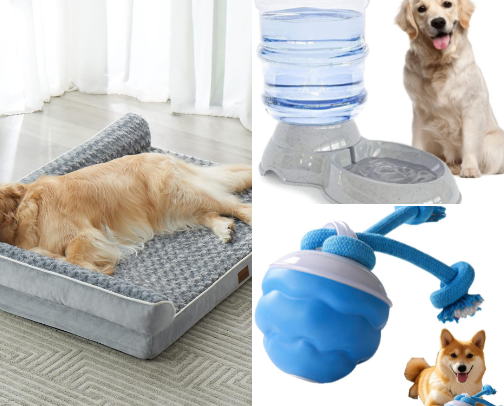 Dog luxery cover photo collage