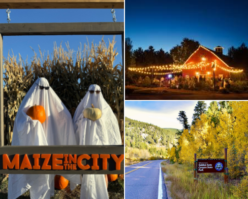 Denver Fall Playbook: Leaf-Peeping, Festivals & Cozy Things to Do cover photo collage