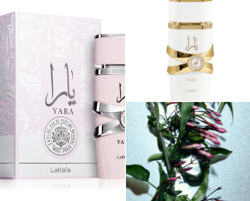 affordable perfumes that smell expensive✨️🖤 cover photo collage