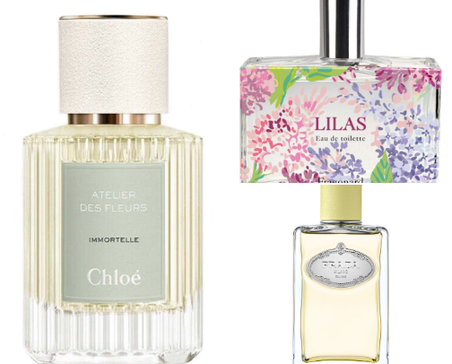 Perfumes fot women who love white shirts and perfectly tailored jeans💌 cover photo collage