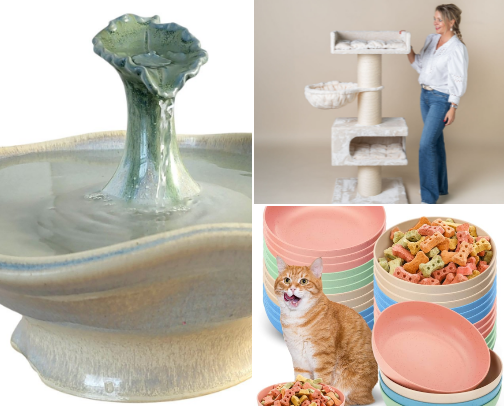 Maximus the Maine coon’s faves cover photo collage