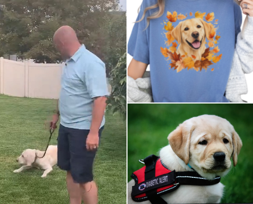Dog Lover Essentials cover photo collage