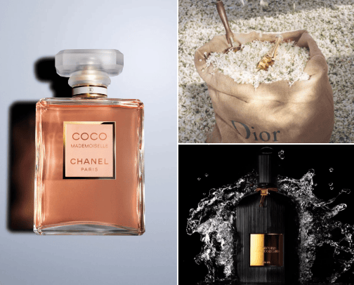 Women Parfume cover photo collage