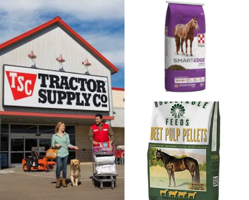 Best Feeds & Supplements for Horse Weight Gain (Hard Keepers & Senior Horses) cover photo collage
