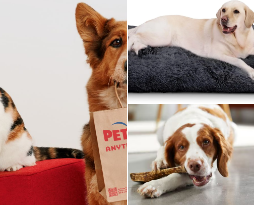 pet accessories cover photo collage