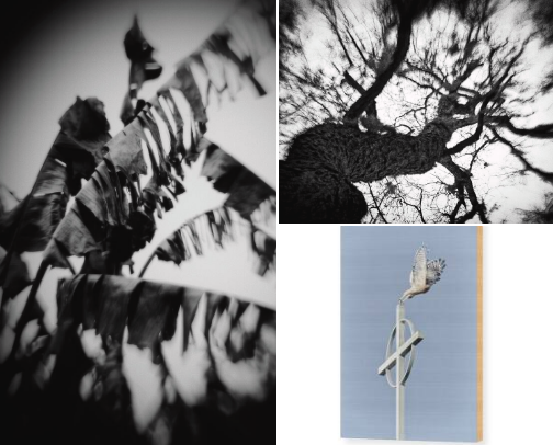 Out of the Ordinary cover photo collage