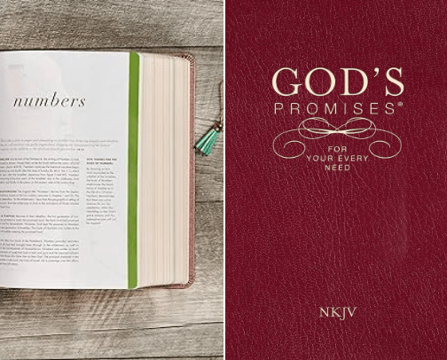 Bible Study Essentials! cover photo collage