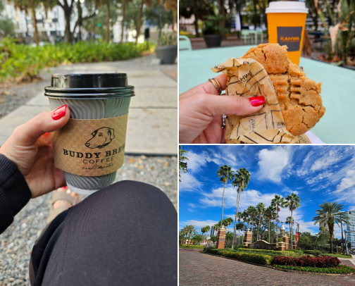 Travel with me to Tampa cover photo collage