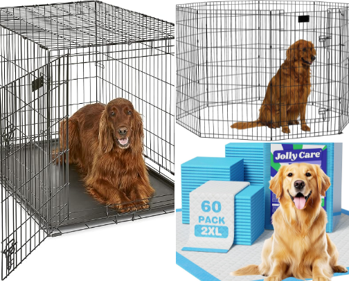 New Puppy Starter Kit Essentials: Top Amazon Picks for Florida Dog Parents cover photo collage