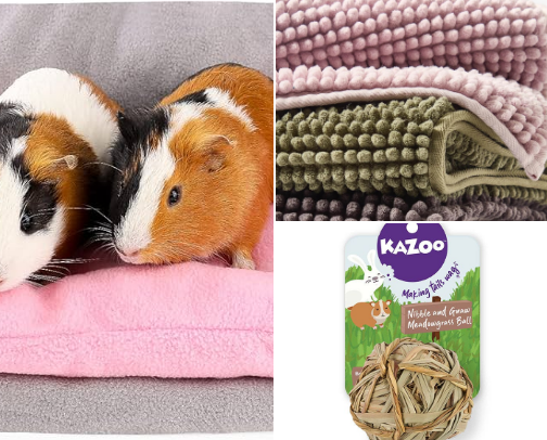 guinea pig essentials (australia-friendly) cover photo collage