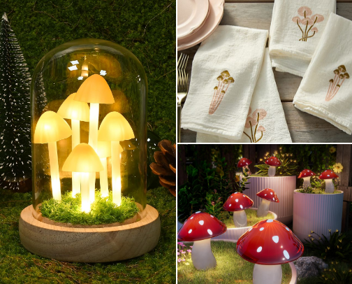 Mushroom Magic 🍄 cover photo collage